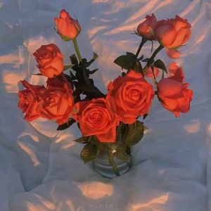 欧美乱伦动态视频
