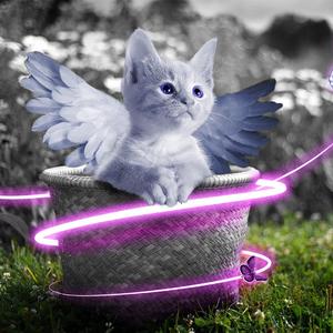 欧美乱伦动态视频
